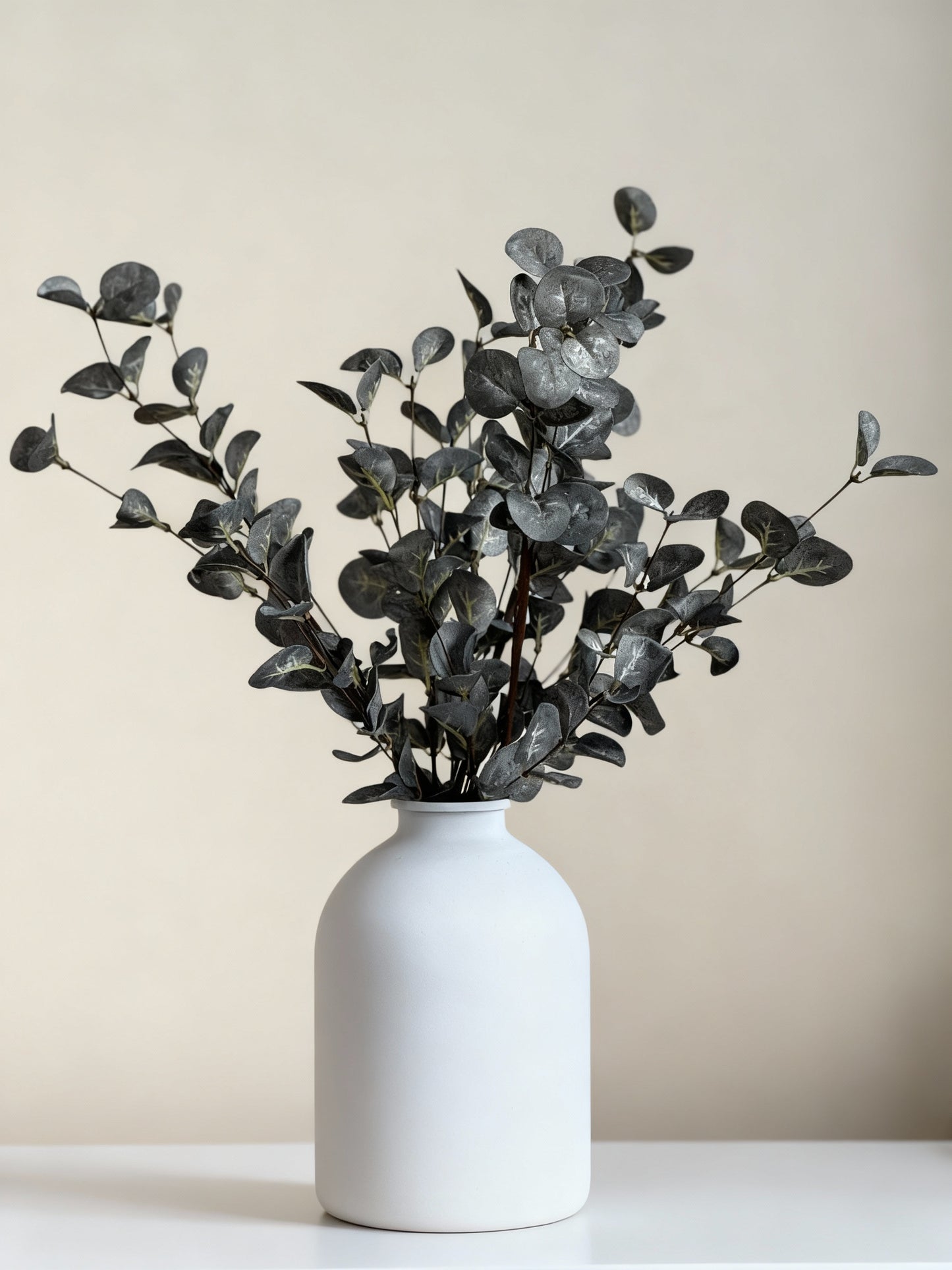 Vase & 3 Eucalyptus Stems Set