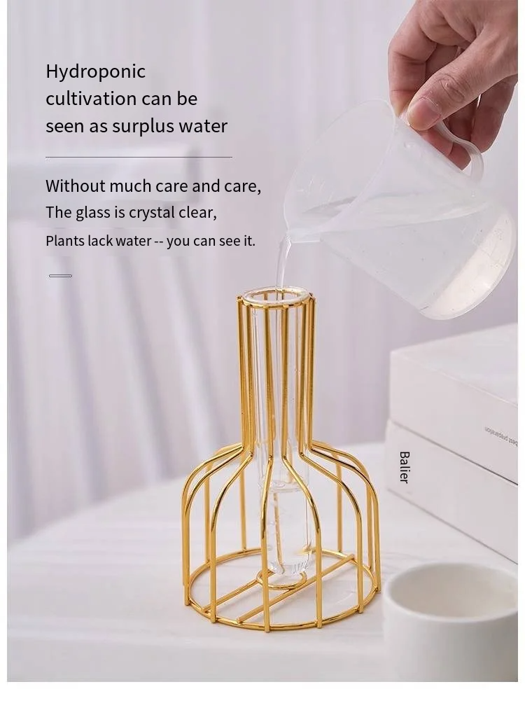 Gold Wrought Iron Test Tube Vase – Hydroponic Container for Living Room Decor