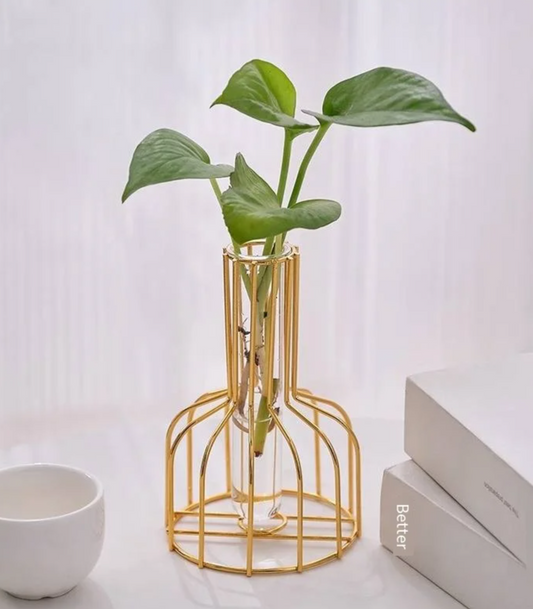 Gold Wrought Iron Test Tube Vase – Hydroponic Container for Living Room Decor