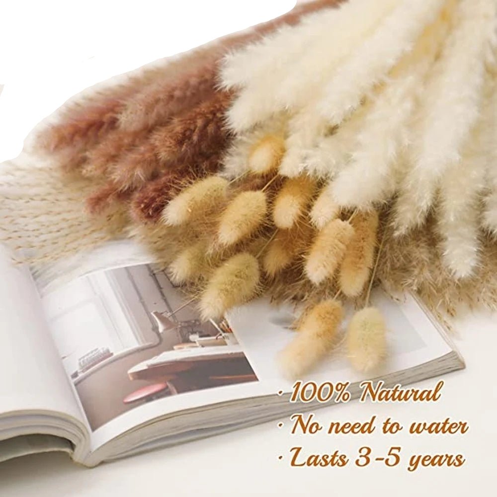 Natural Dried Pampas & Bunny Tails Bouquet – Boho Vase Decor