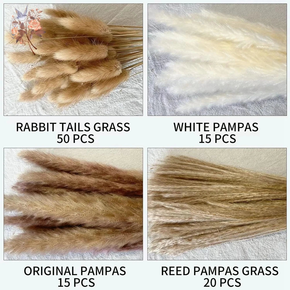 Natural Dried Pampas & Bunny Tails Bouquet – Boho Vase Decor