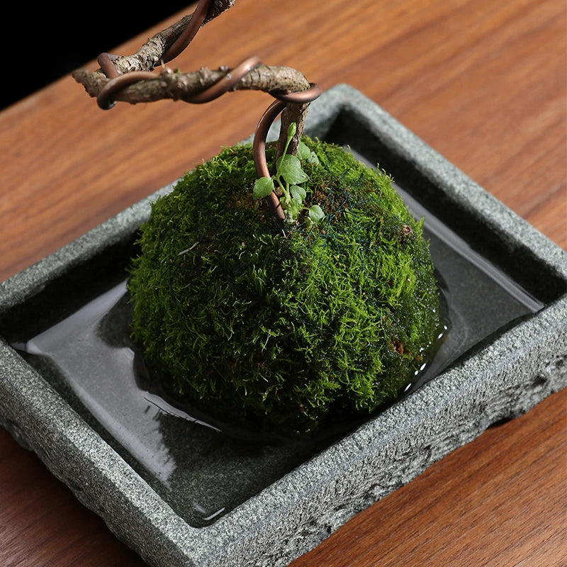 Natural Stone Trough Flowerpot — Retro Creative Vase for Home & Office Table