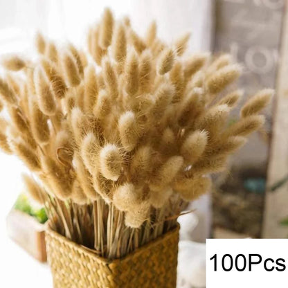 Natural Dried Pampas & Bunny Tails Bouquet – Boho Vase Decor