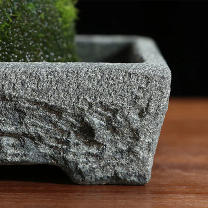 Natural Stone Trough Flowerpot — Retro Creative Vase for Home & Office Table